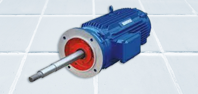 Cooling Tower Motor